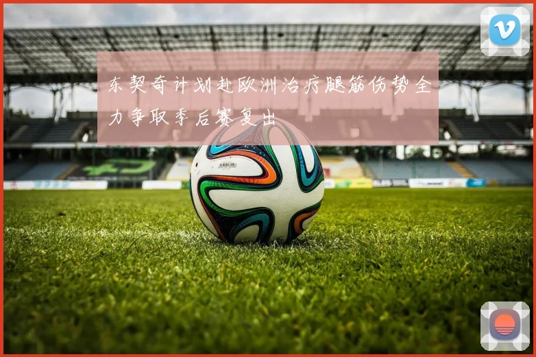 东契奇计划赴欧洲治疗腿筋伤势全力争取季后赛复出